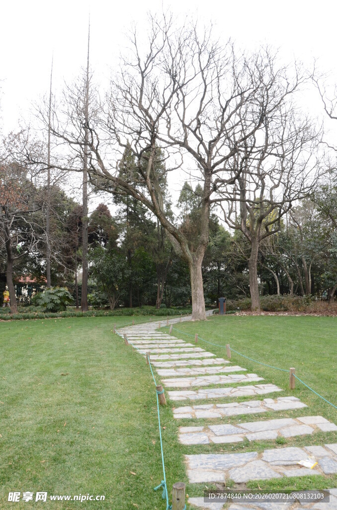 石板小径穿草坪与树木