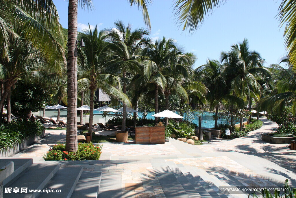 热带风情度假泳池景观