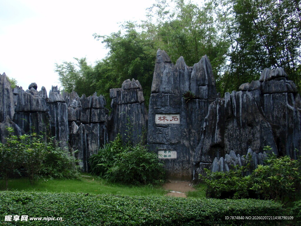 园林假山景观 绿意环绕