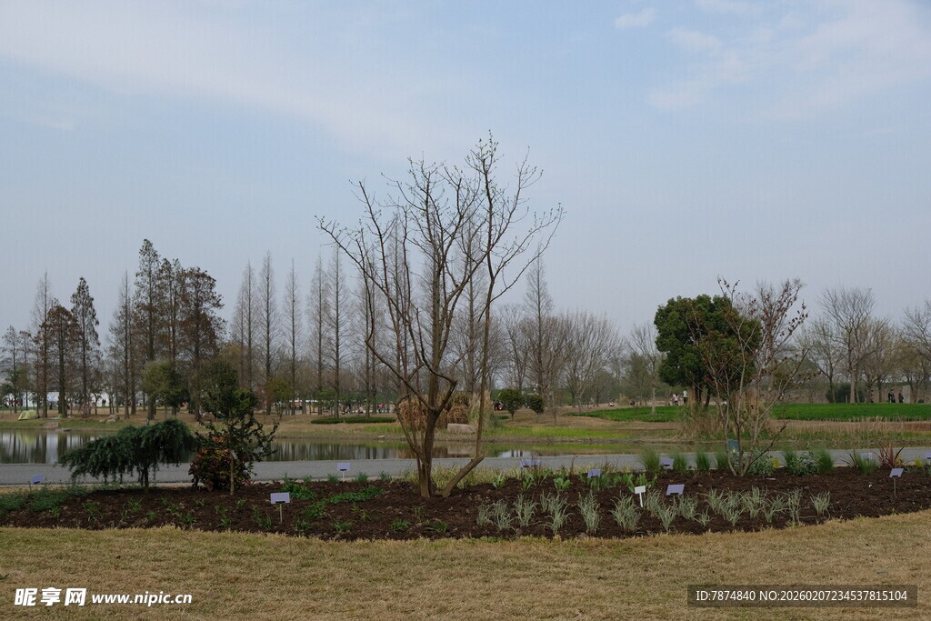 郊外冬日宁静景观