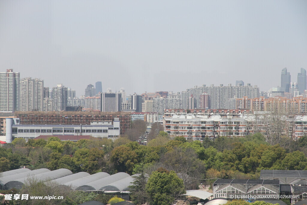 城市景观中的建筑与绿植