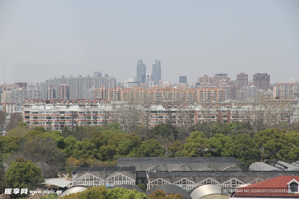 城市远景与绿植景观