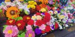 缤纷多彩的鲜花陈列