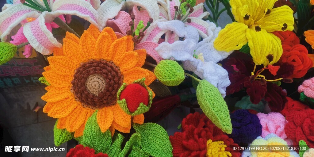 多彩花卉盛放图景