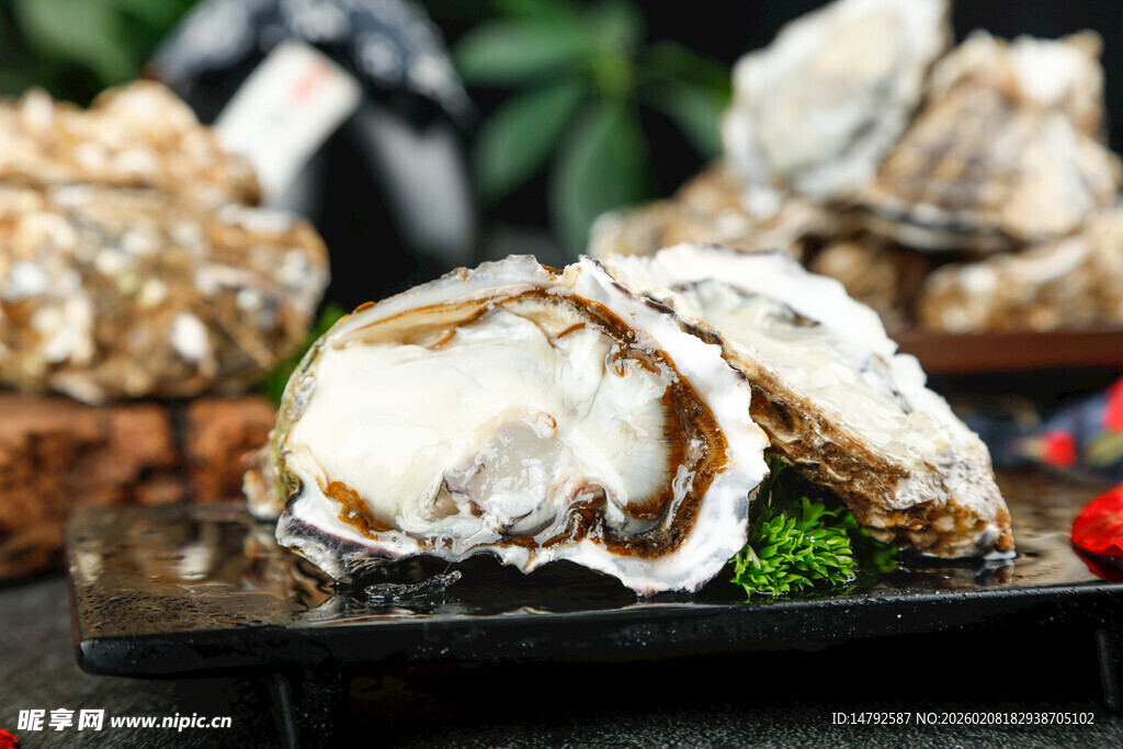 生蚝