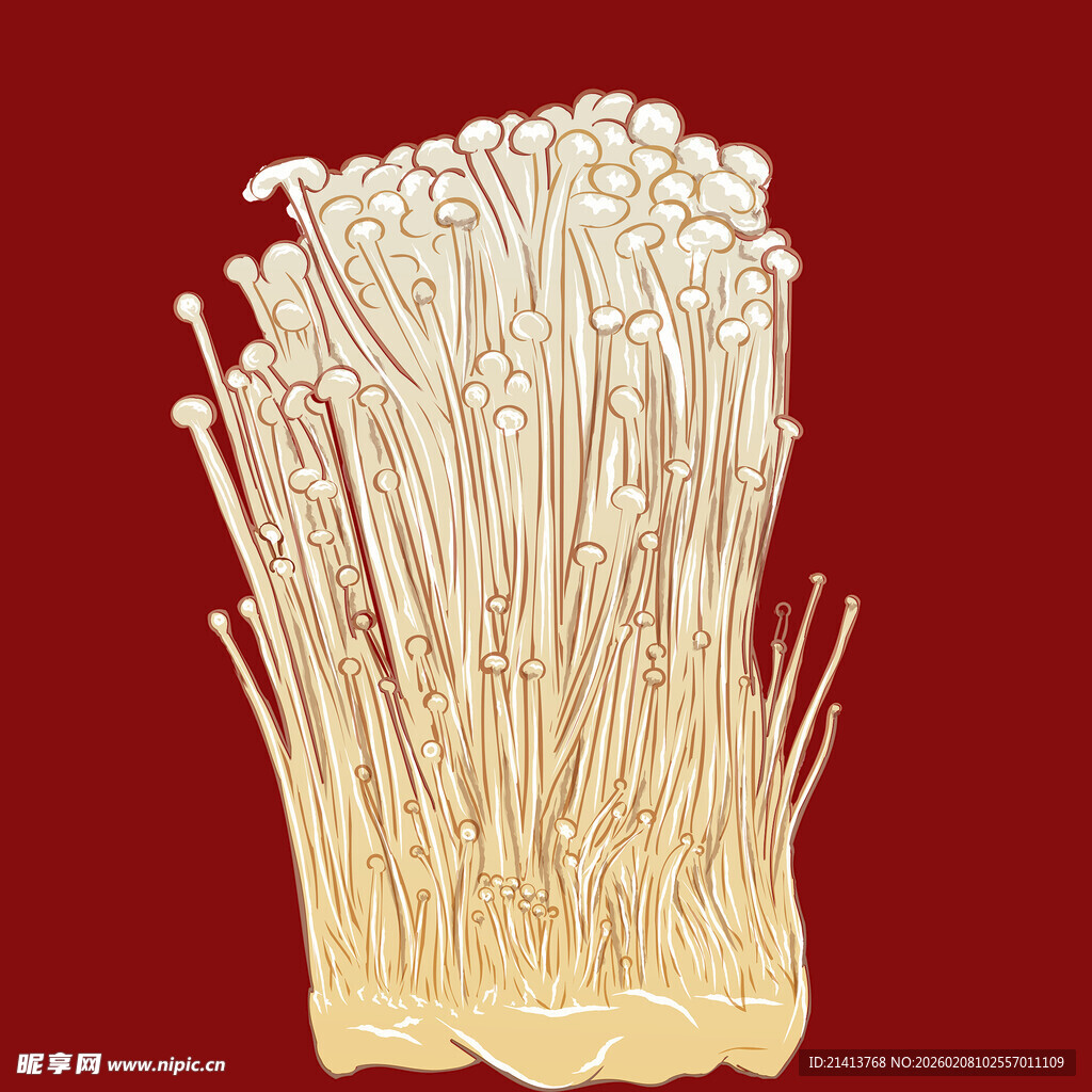 新鲜金针菇特写