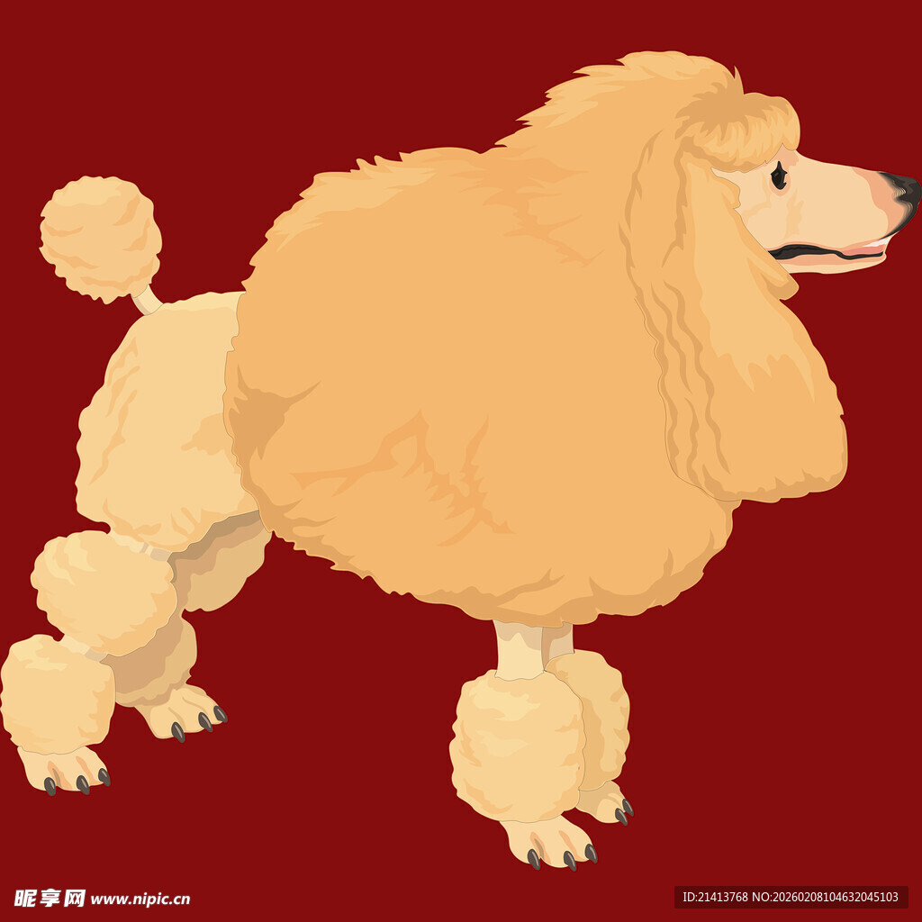 可爱贵宾犬插画