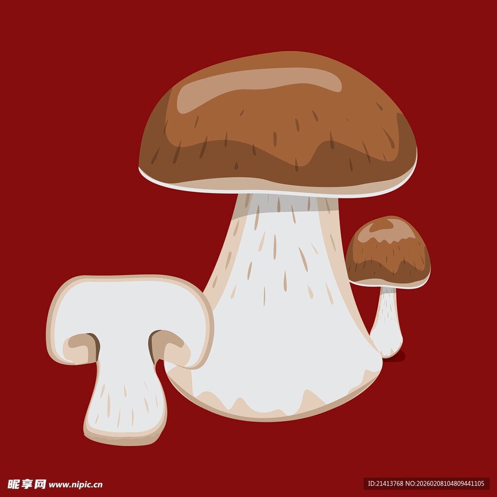 卡通风格蘑菇插画