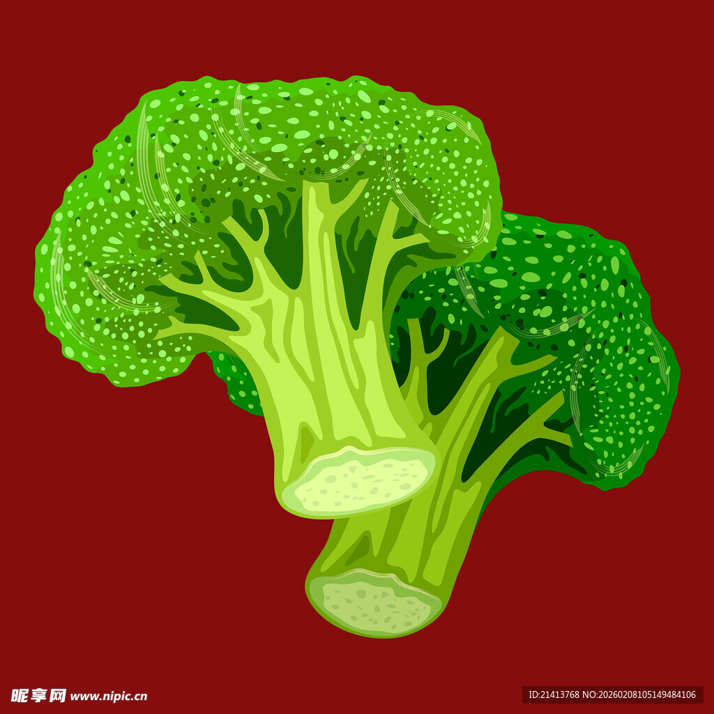 两颗鲜绿西兰花