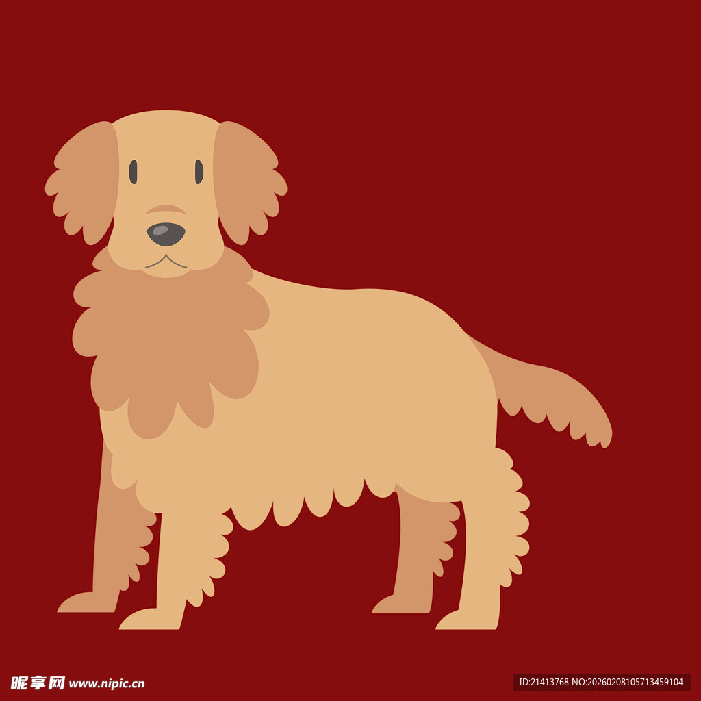 站立的可爱金毛犬