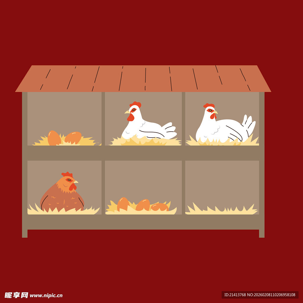 鸡舍中的家禽与鸡蛋