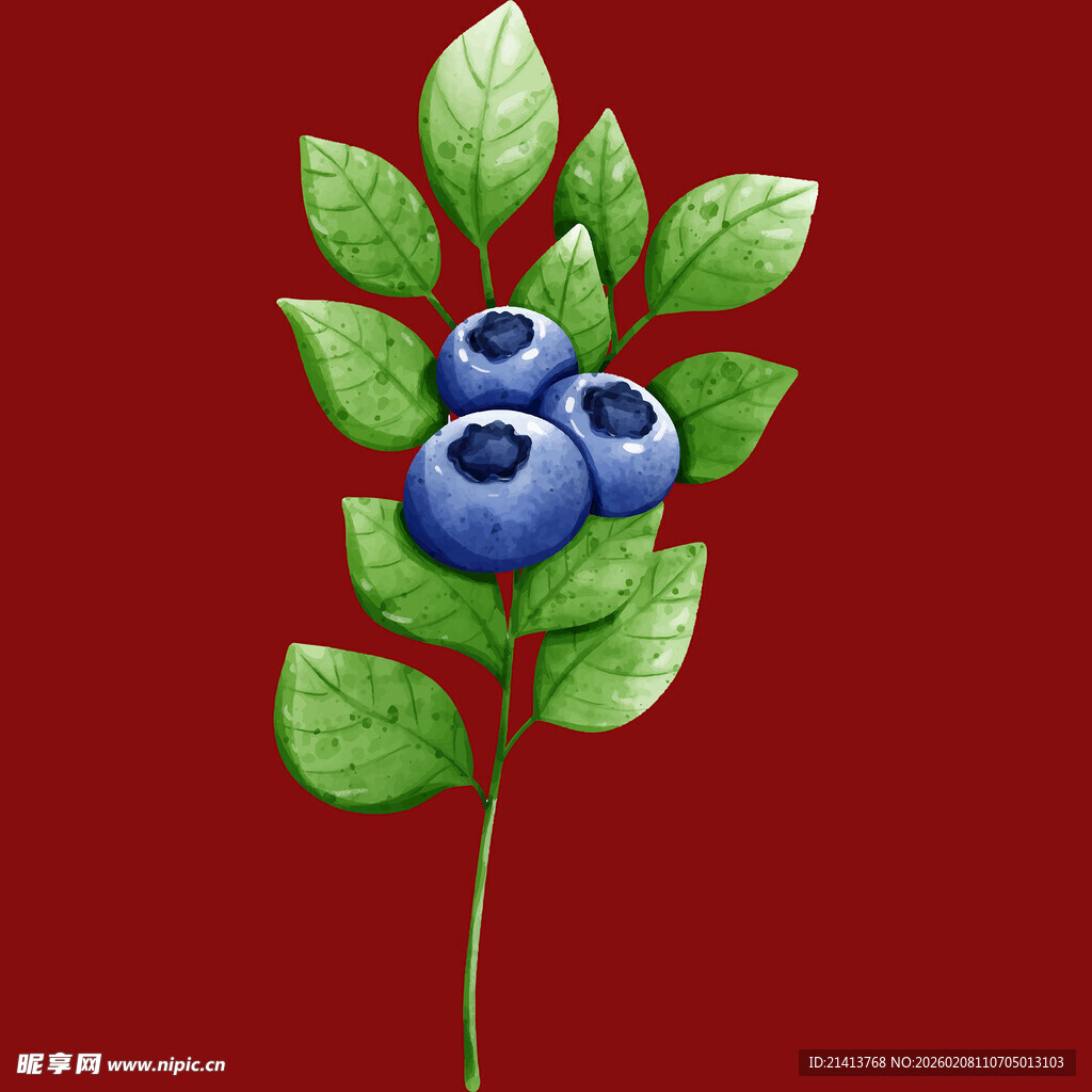 红底上的蓝莓与绿叶