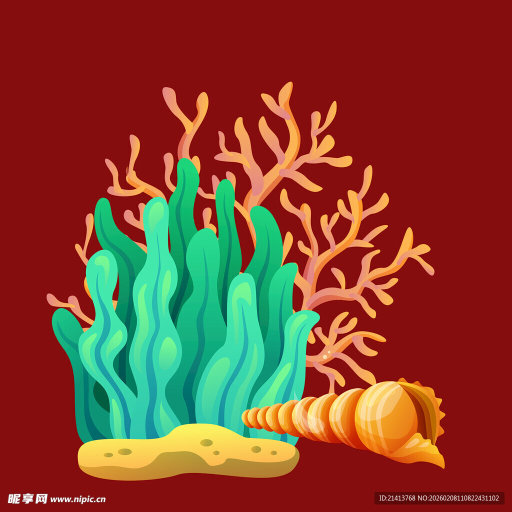 海底珊瑚与贝壳景观