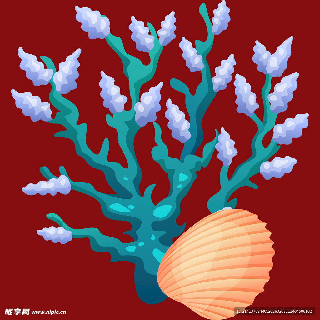 珊瑚与贝壳的梦幻组合