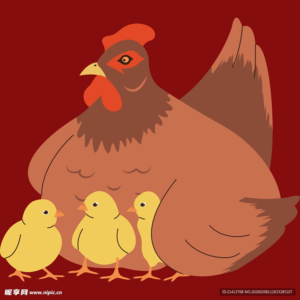 母鸡护小鸡温馨画面