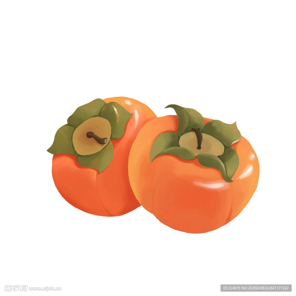 两个鲜橙柿子插画