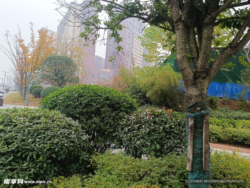 城市中的静谧绿植景观