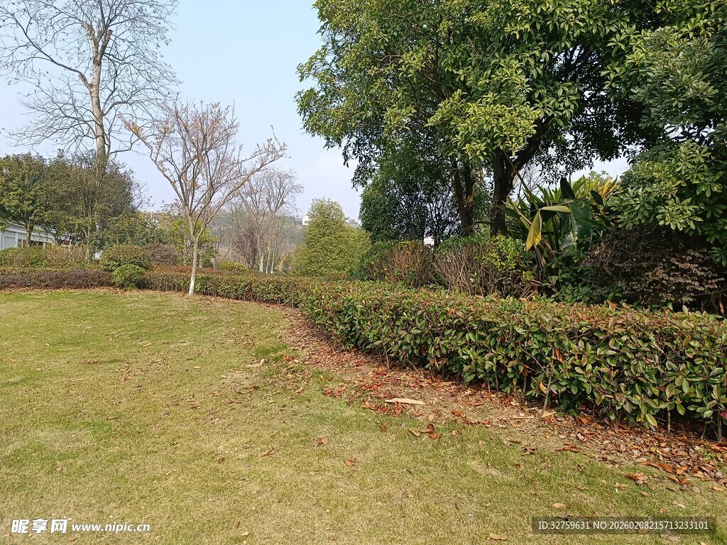 户外绿意盎然的草坪景观