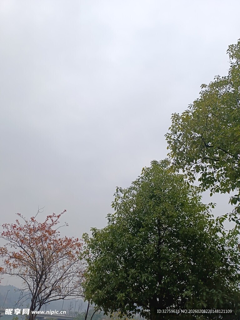 春日绿树与繁花景致