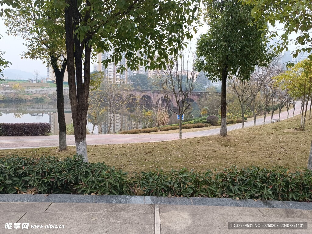 公园林荫步道风景