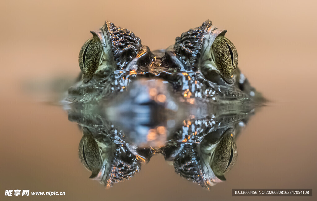 对称抽象艺术图案