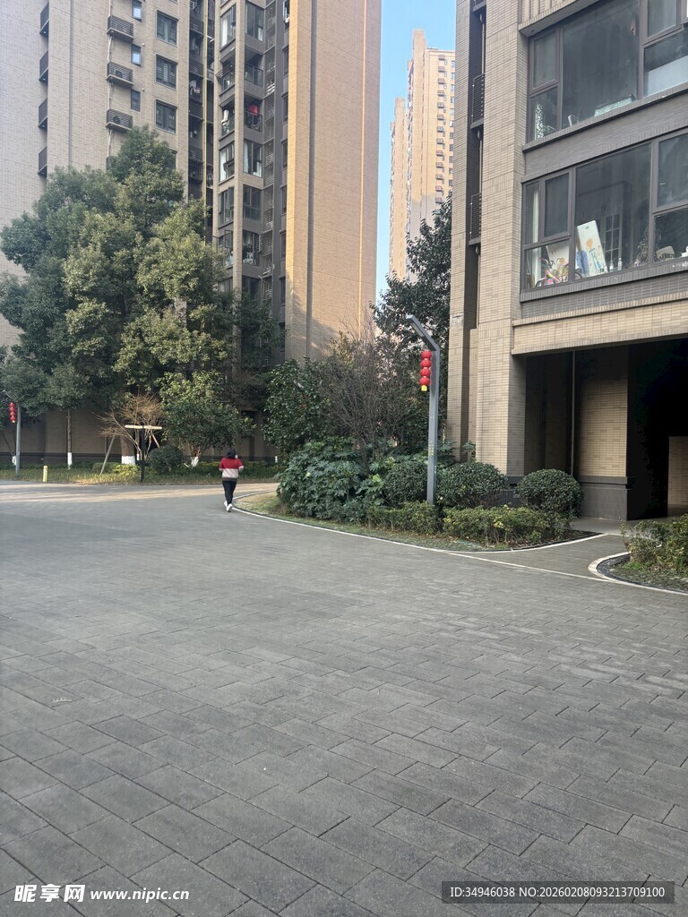 小区内的开阔道路与绿植
