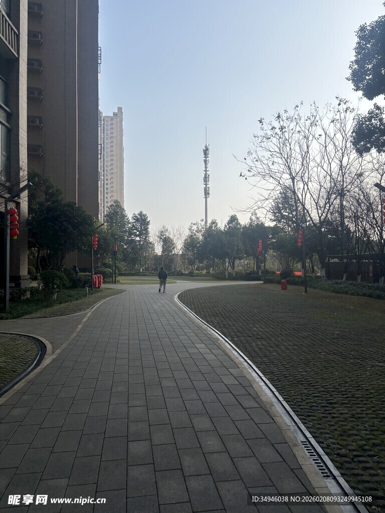城市中宁静的林荫步道