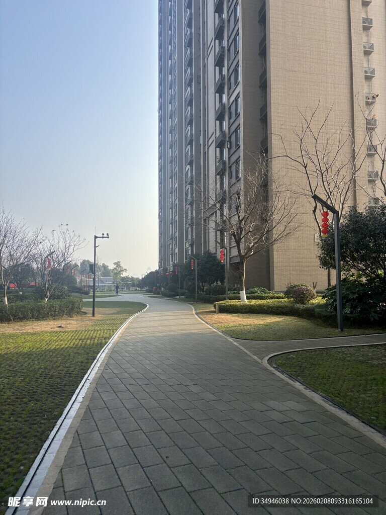 城市住宅区中的幽静步道
