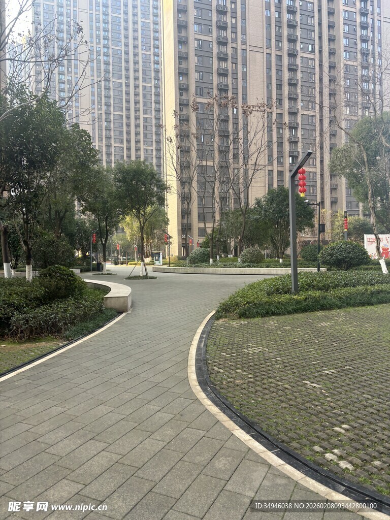 城市中整洁的绿化道路