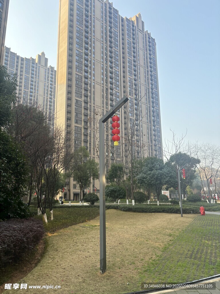 城市高楼旁的绿化景观