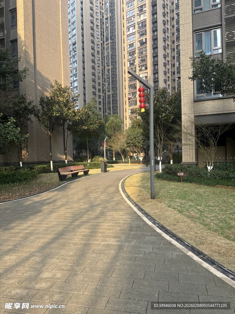 城市住宅区的宁静街道