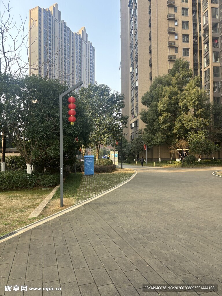 城市街道旁的绿植与高楼