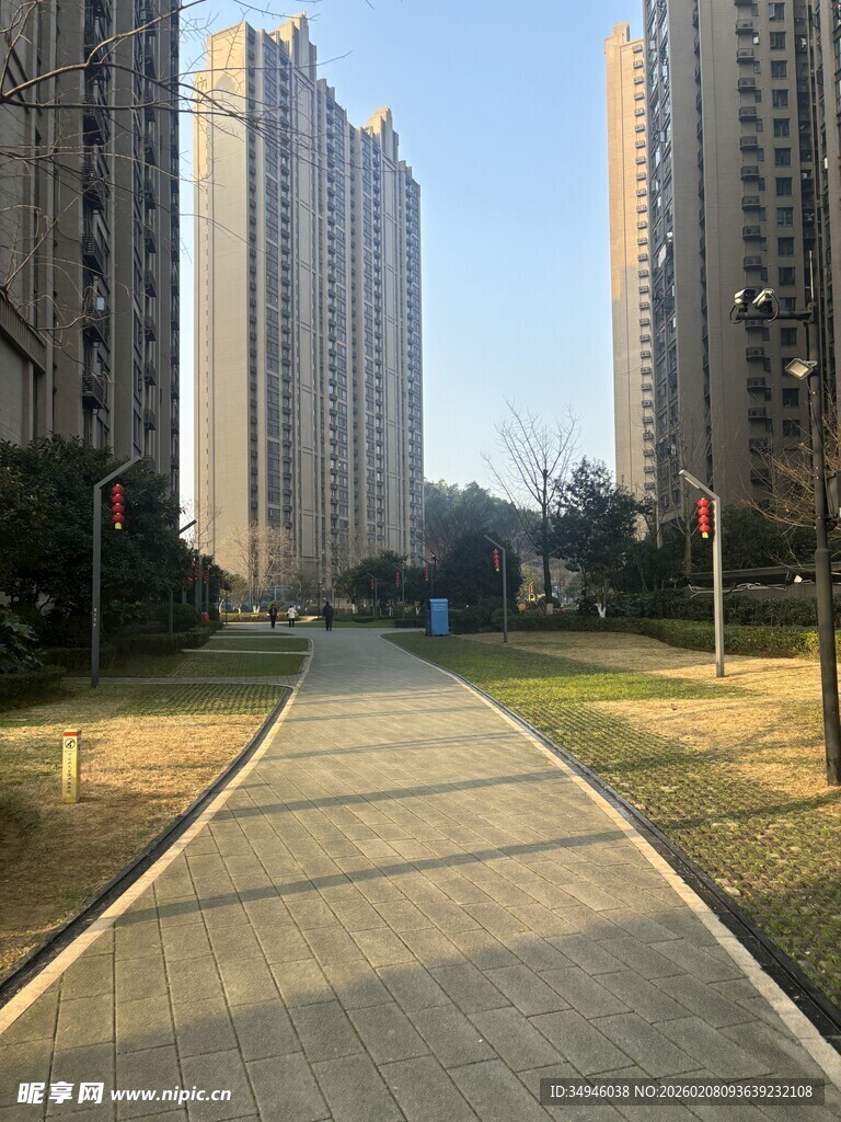 城市小区中的林荫步道