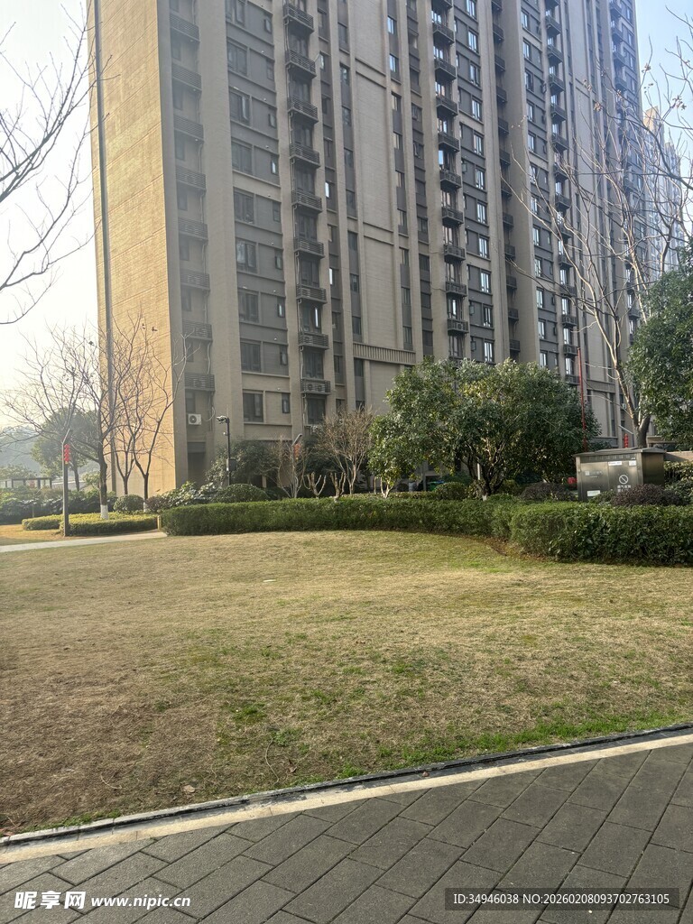 高层住宅旁的开阔绿地