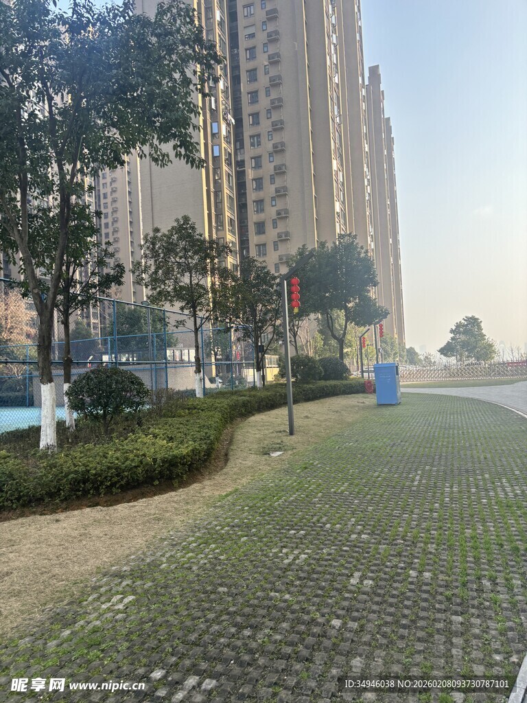 城市中开阔的绿化道路