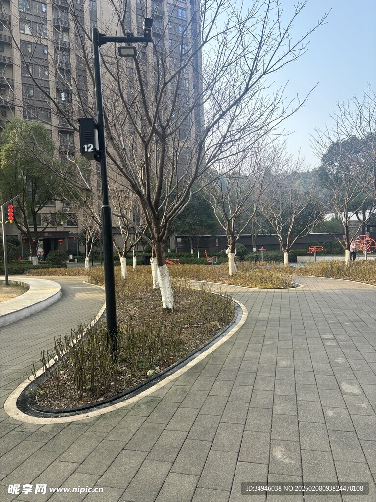 城市公园中的宁静步道