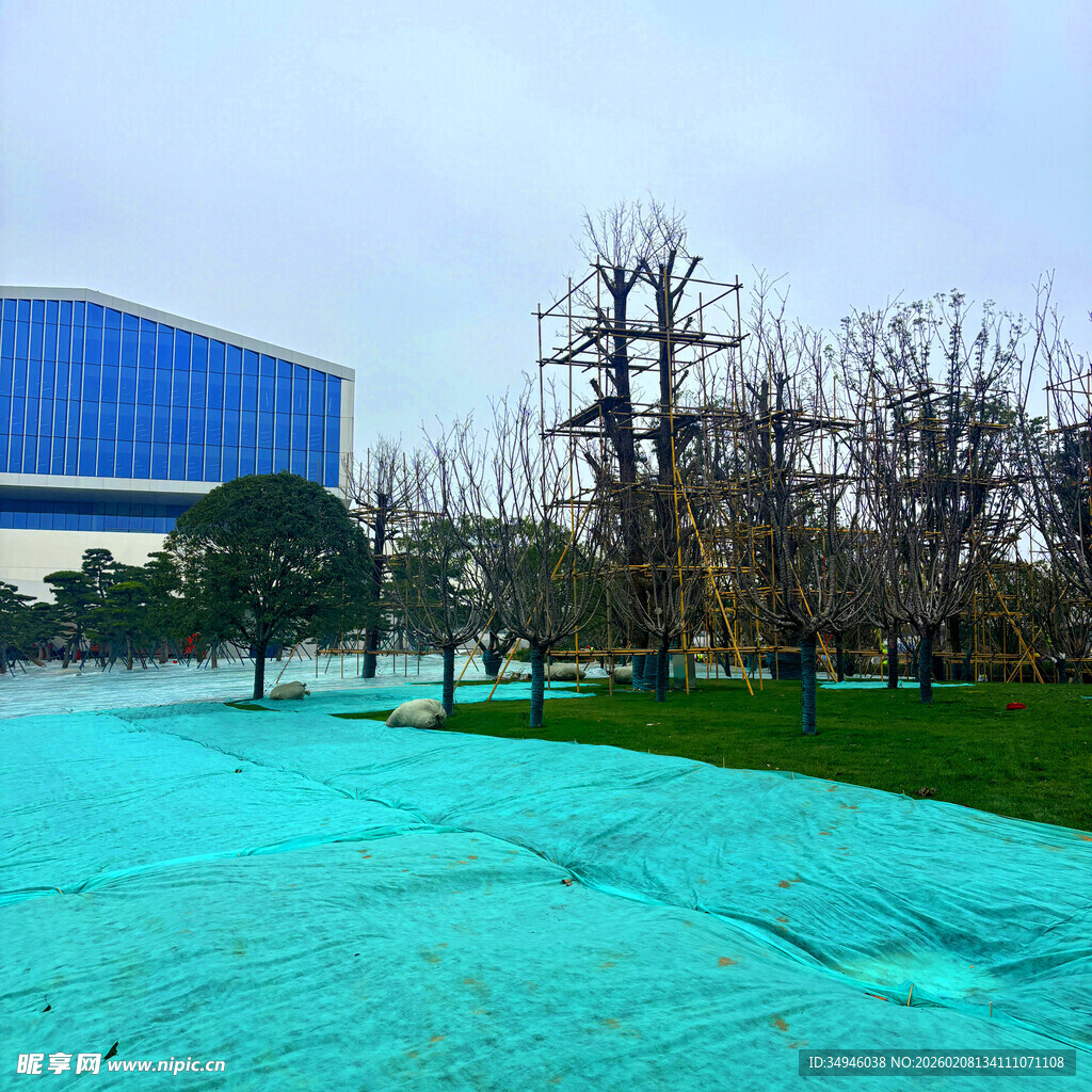 户外蓝色场地与树木景观