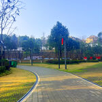 公园中的蜿蜒步道