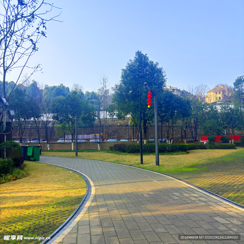 公园中的蜿蜒步道