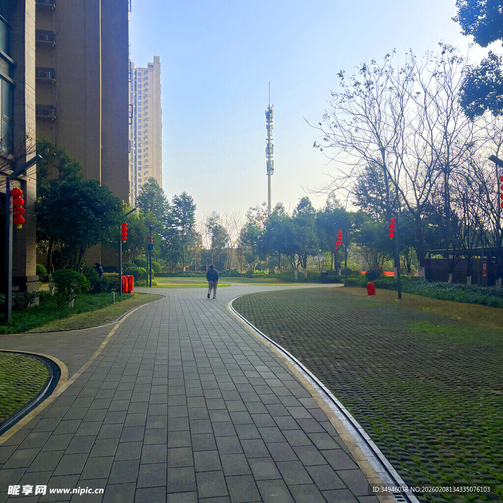 城市中宁静的林荫步道