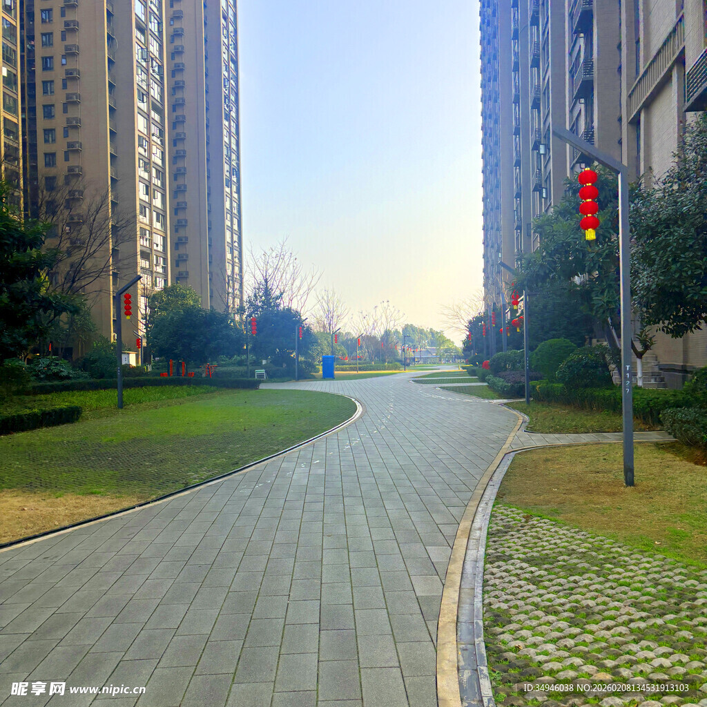 城市中宽阔的林荫道路