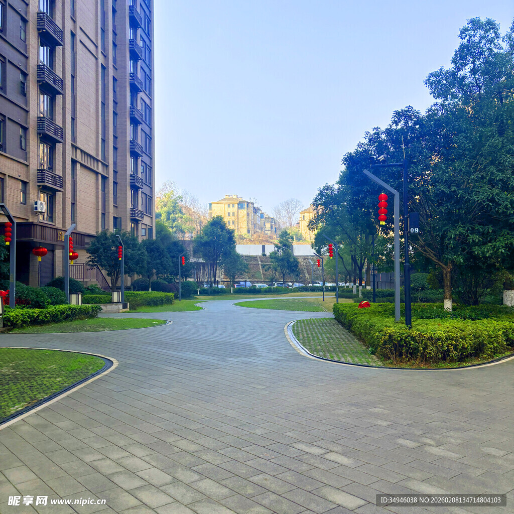 小区内整洁的道路景观