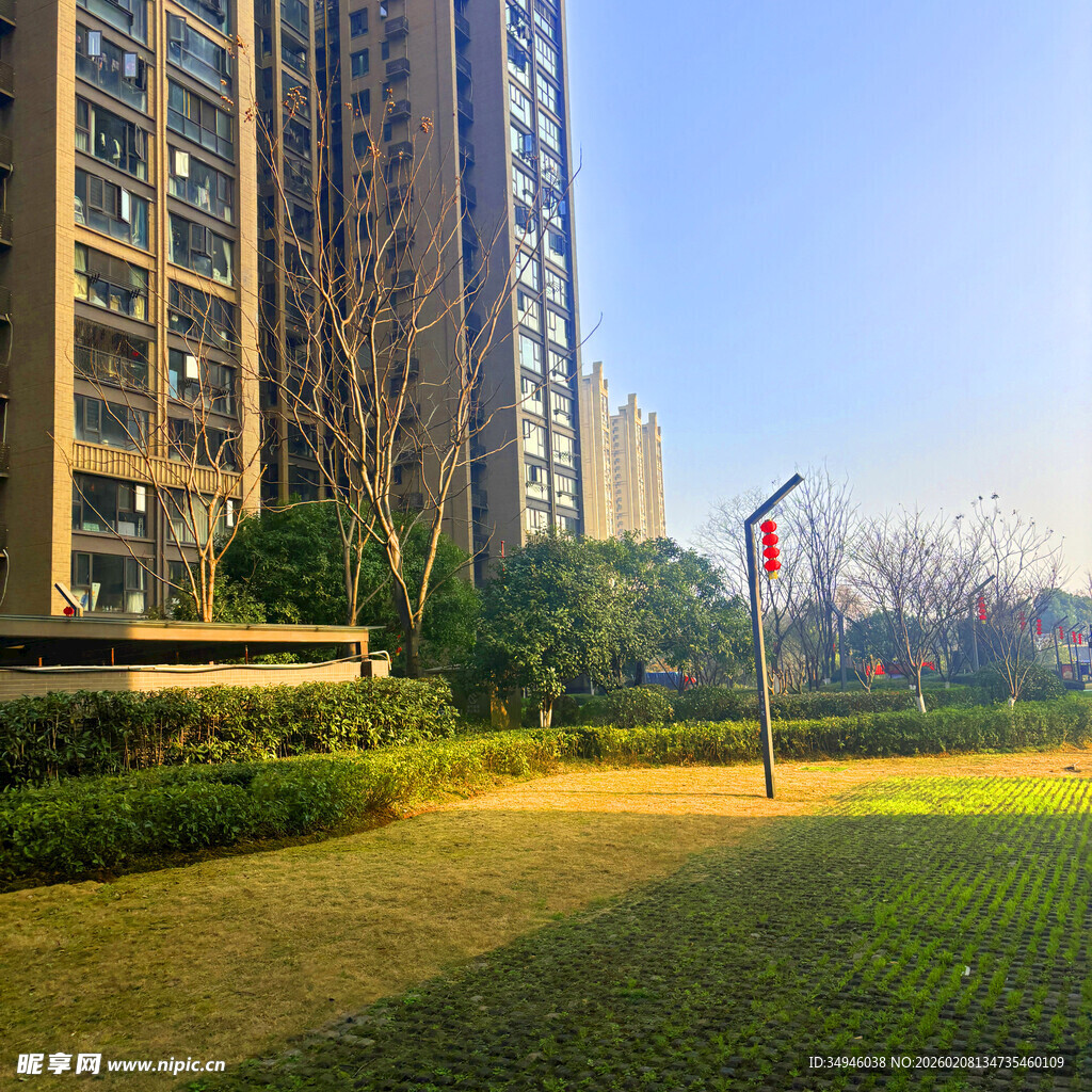 城市小区内的绿化景观