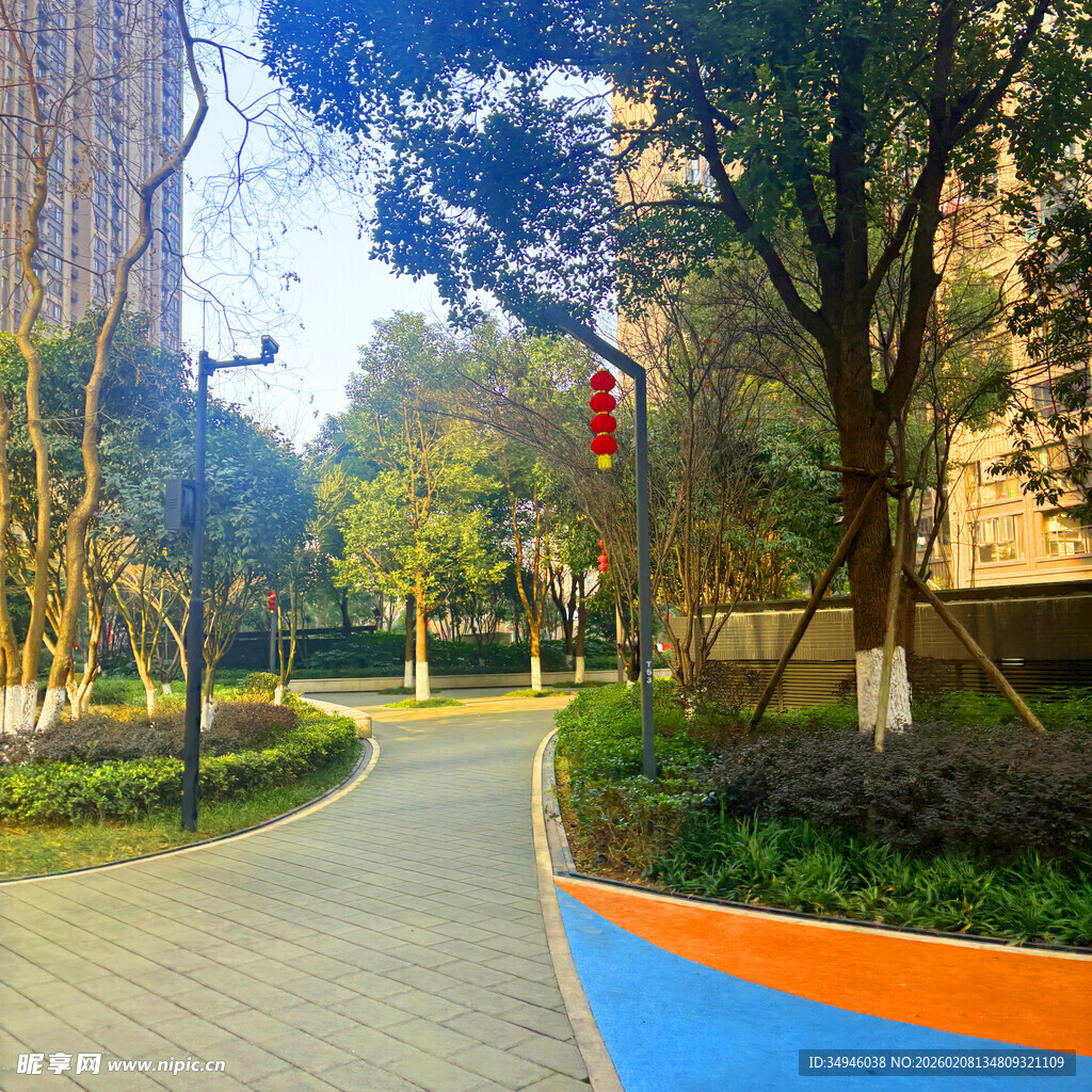 小区内的林荫步道景观
