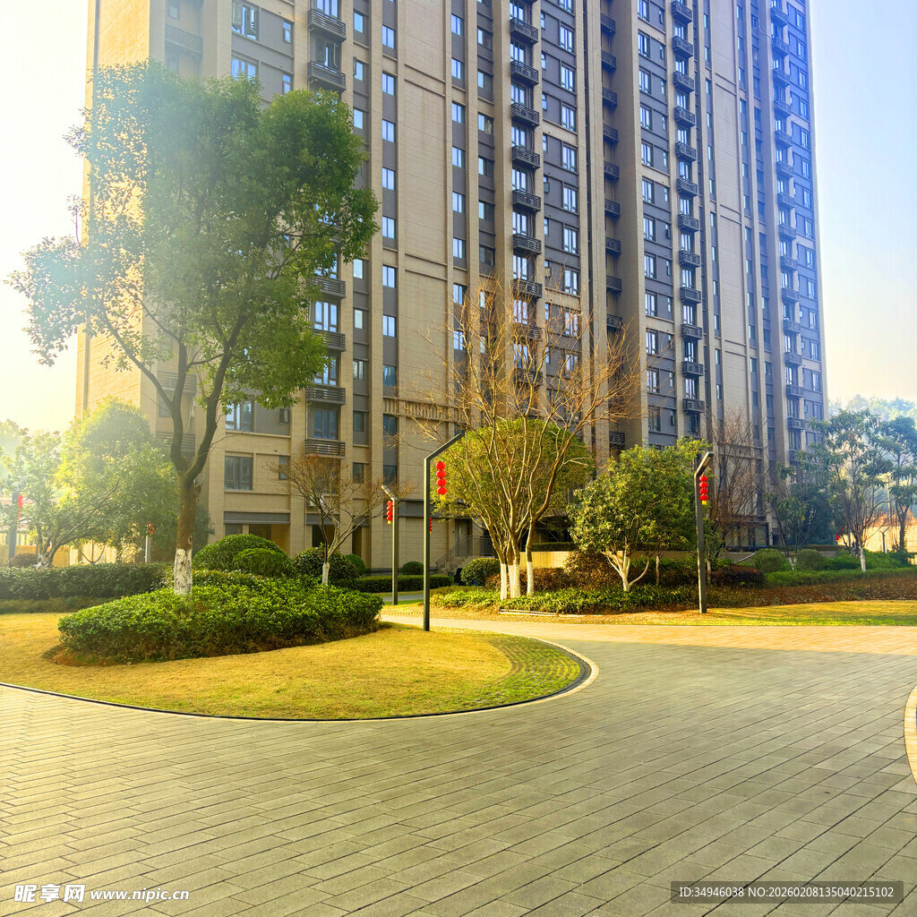 阳光照耀下的高层住宅景观