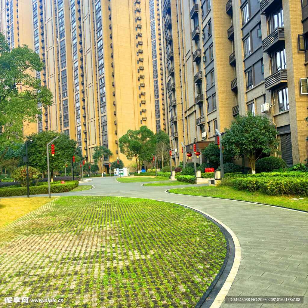 小区内的宜人绿化景观