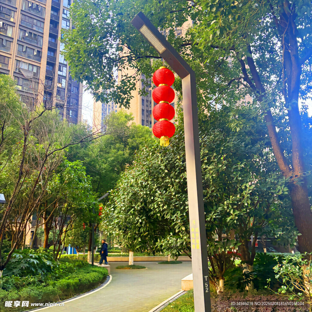 小区中悬挂红灯笼的路灯