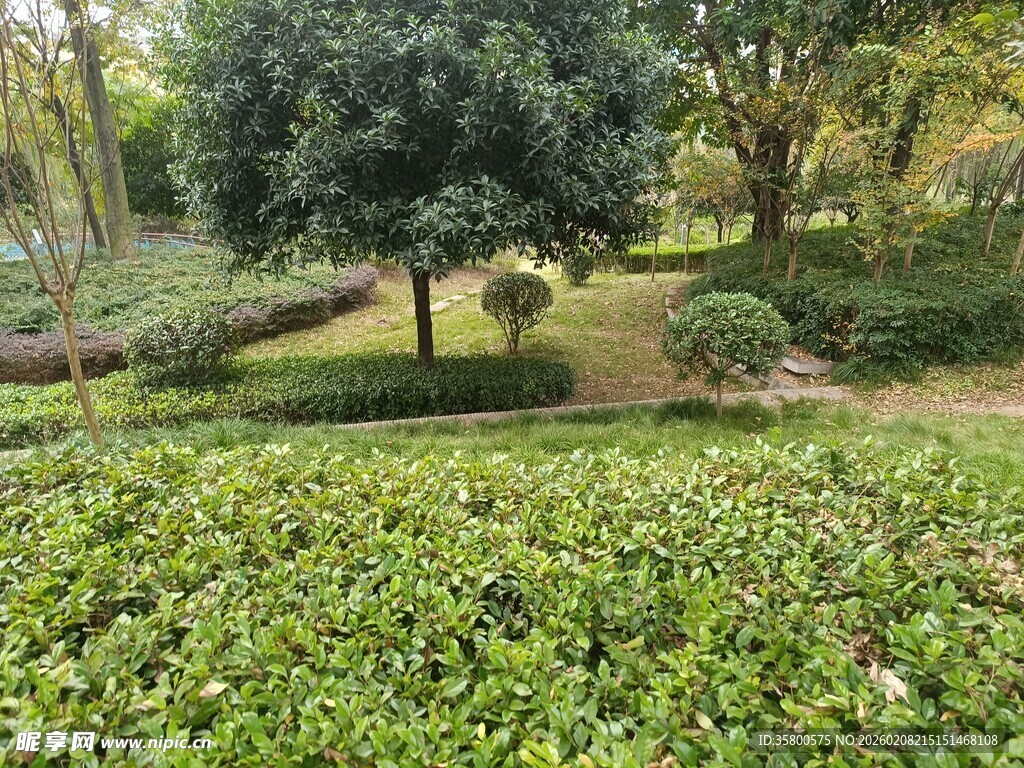 绿意盎然的园林景观