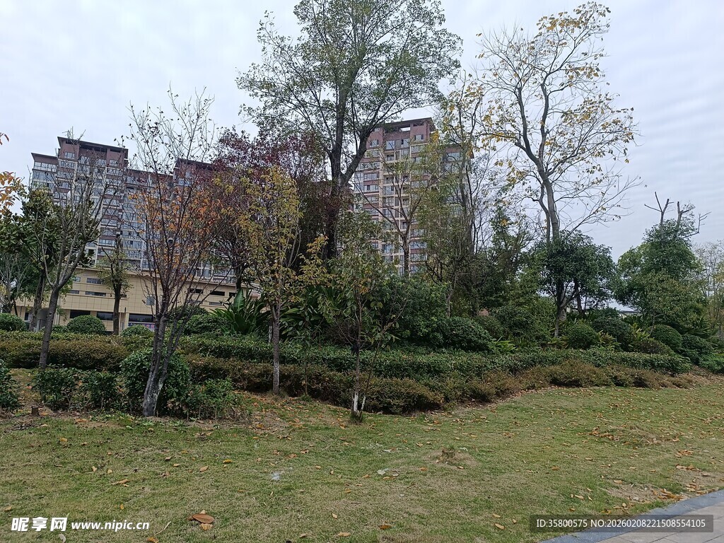 小区周边绿植环绕景观