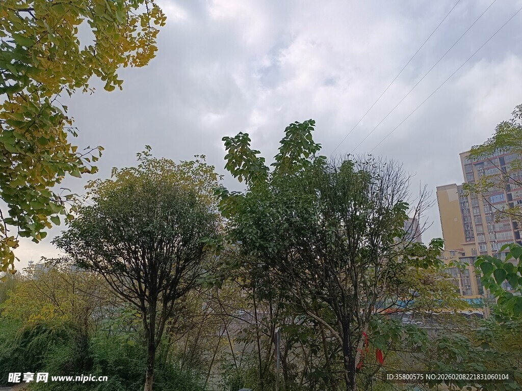 秋日户外树木与建筑景致